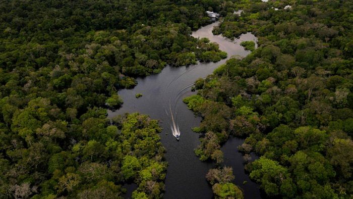 The Amazon rainforest. Credit: Reuters File Photo