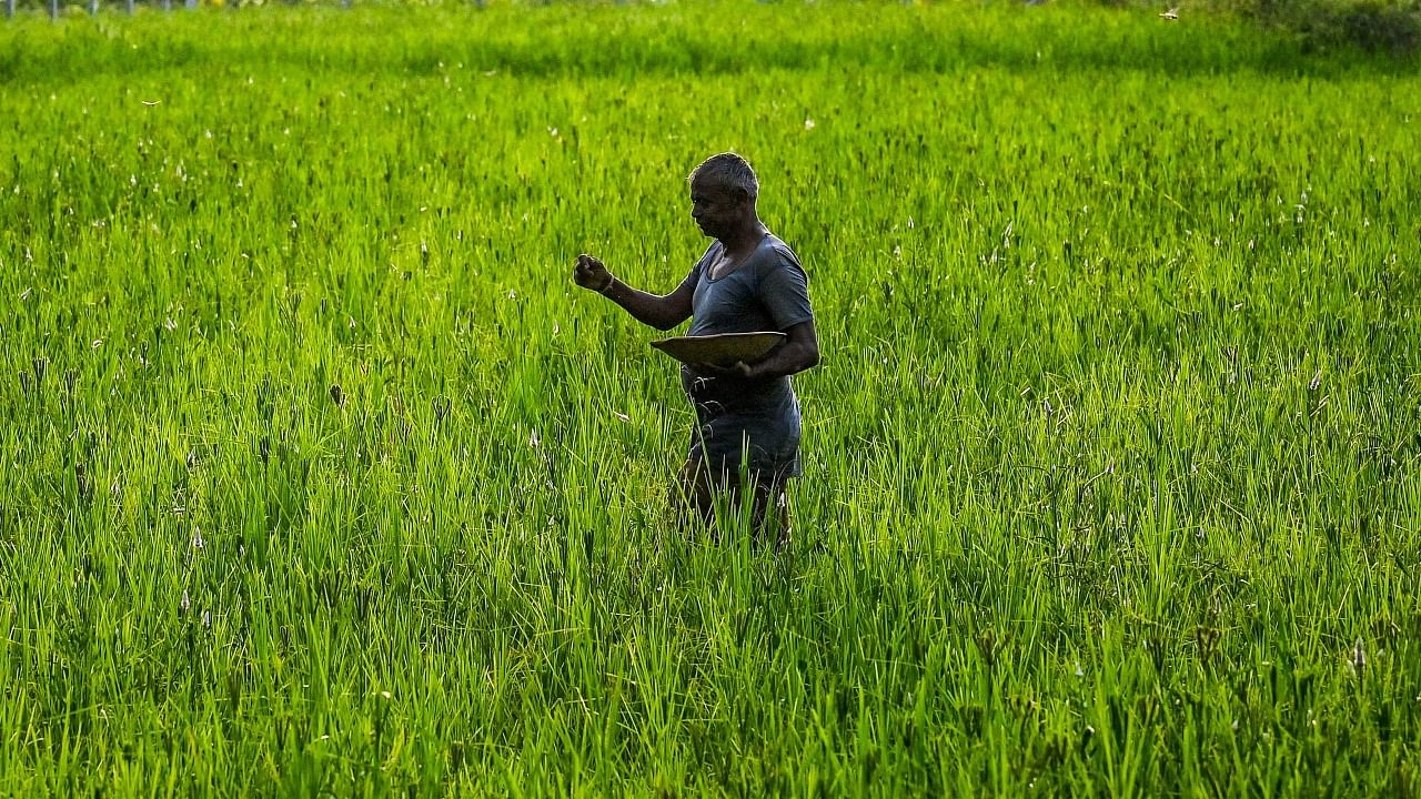 Representative image. Credit: AFP File Photo