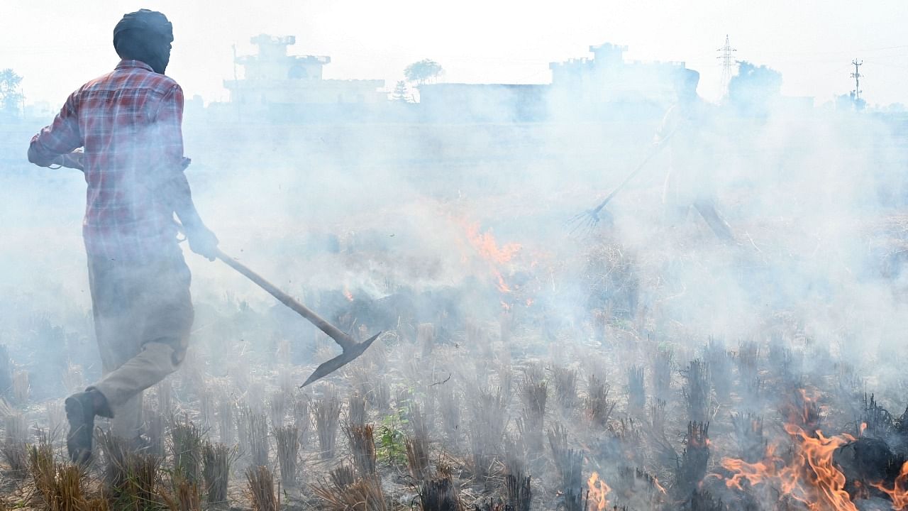 Farmers burn straw stubble after a harvest in a paddy field on the outskirts of Amritsar. Credit: AFP Photo