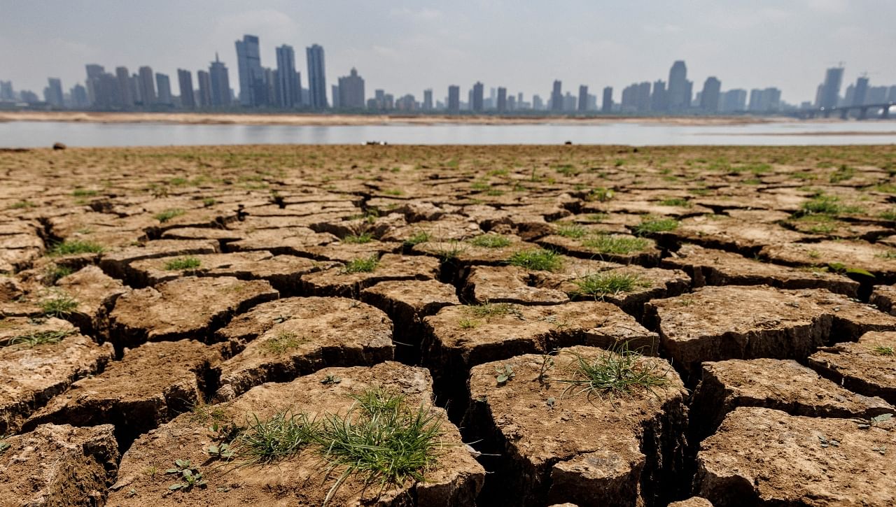 This year is on track to be the fifth or sixth warmest ever recorded despite the impact since 2020 of La Nina. Credit: Reuters File Photo