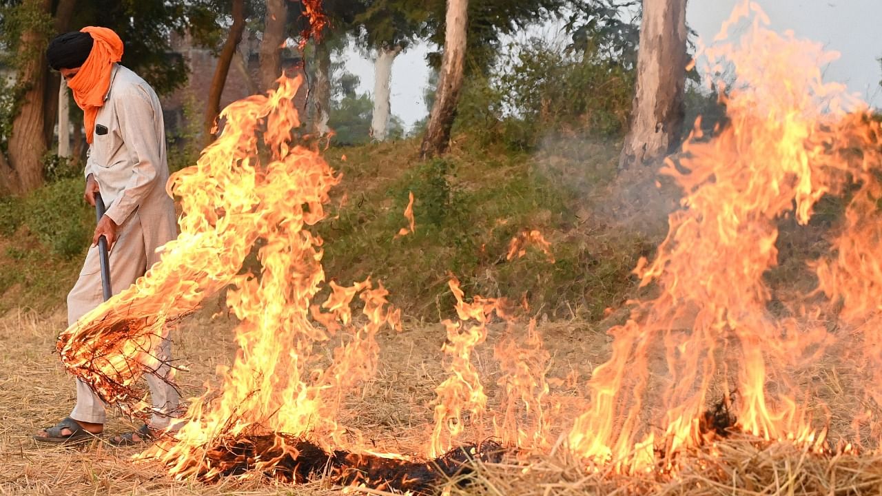 The Commission, after considering the responses of the states concerned and the government of Delhi, and the deliberations thereon, is of the opinion that the "farmers are burning stubble under compulsion. Credit: AFP Photo