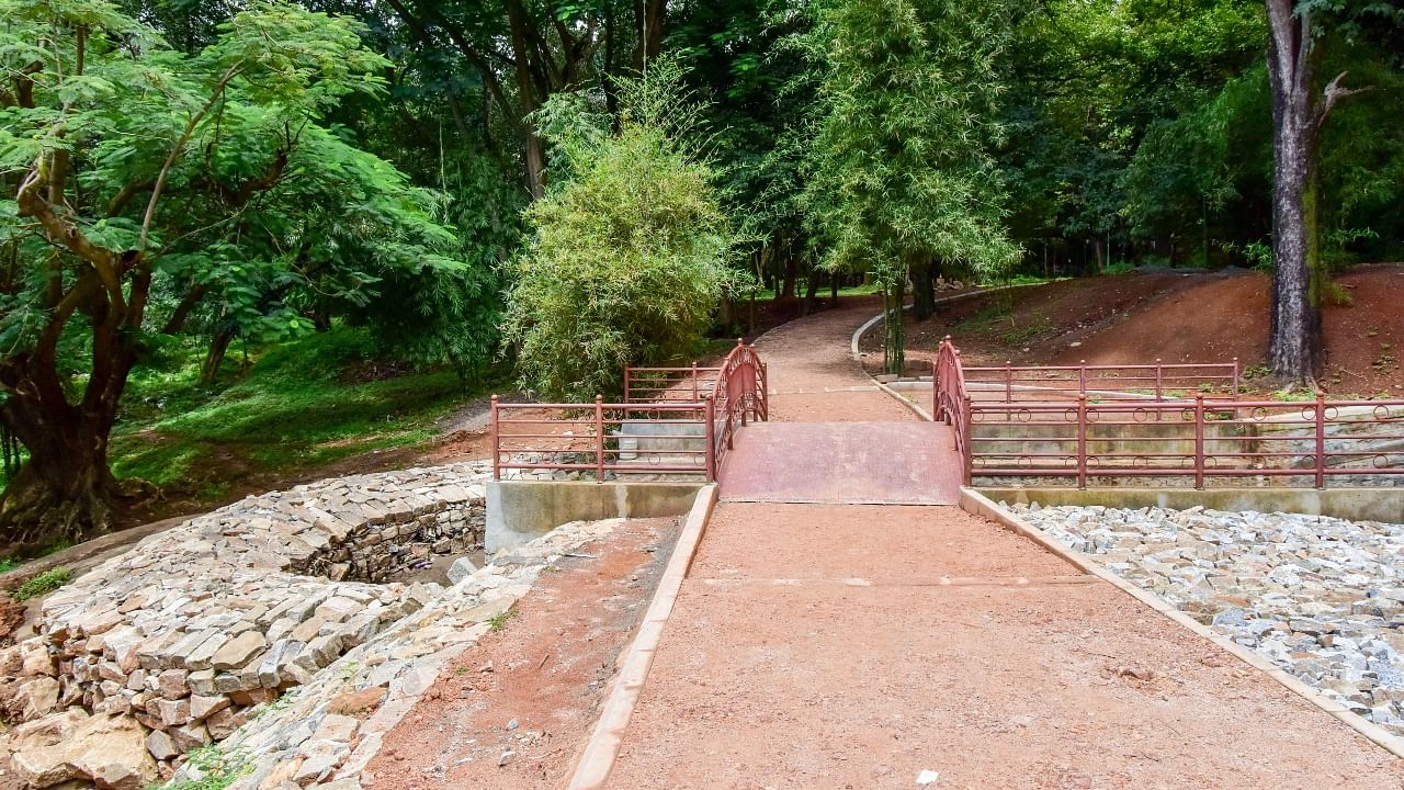 Cubbon Park. Credit: DH File Photo