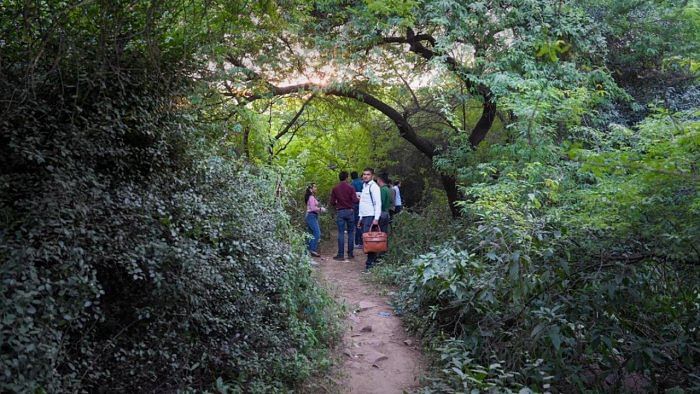 Media personnel at the Chhatarpur forest area where Aftab Poonawalla allegedly dumped body pieces of his live-in partner Shraddha Walkar, in New Delhi. Credit: PTI Photo