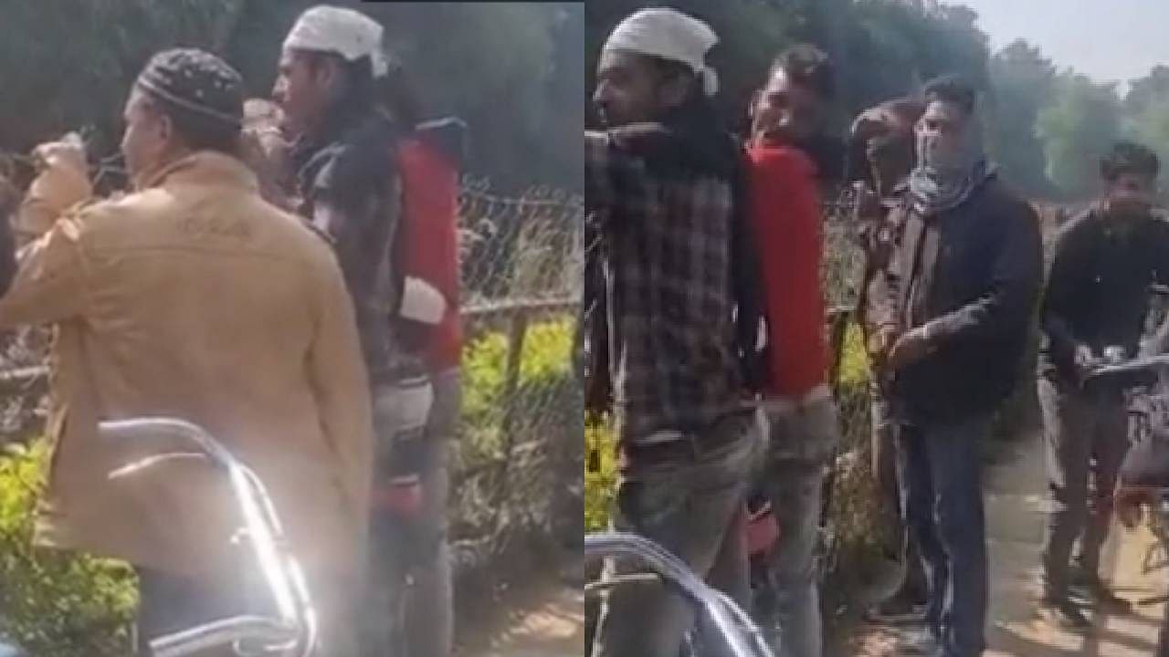Tourists alleged of throwing stones at the tiger enclosure. Credit: Twitter/@TandonRaveena