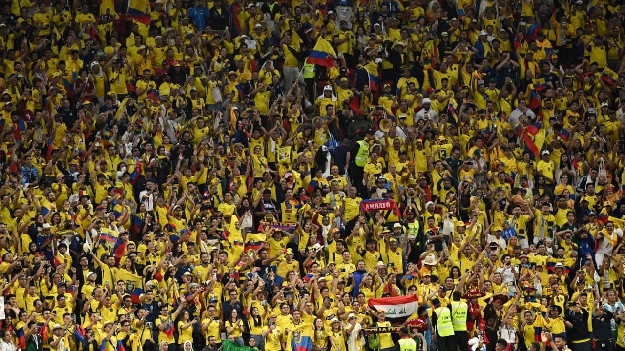 Ecuador fans in a FIFA World Cup match. Credit: Reuters Photo