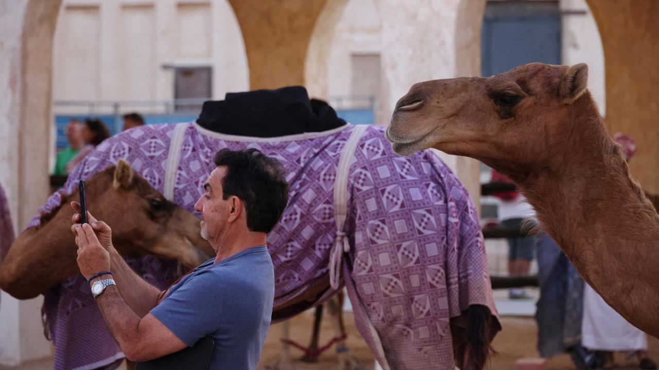 A man takes photographs of camels at Souq Waqif in Doha, Qatar. Credit: Reuters photo