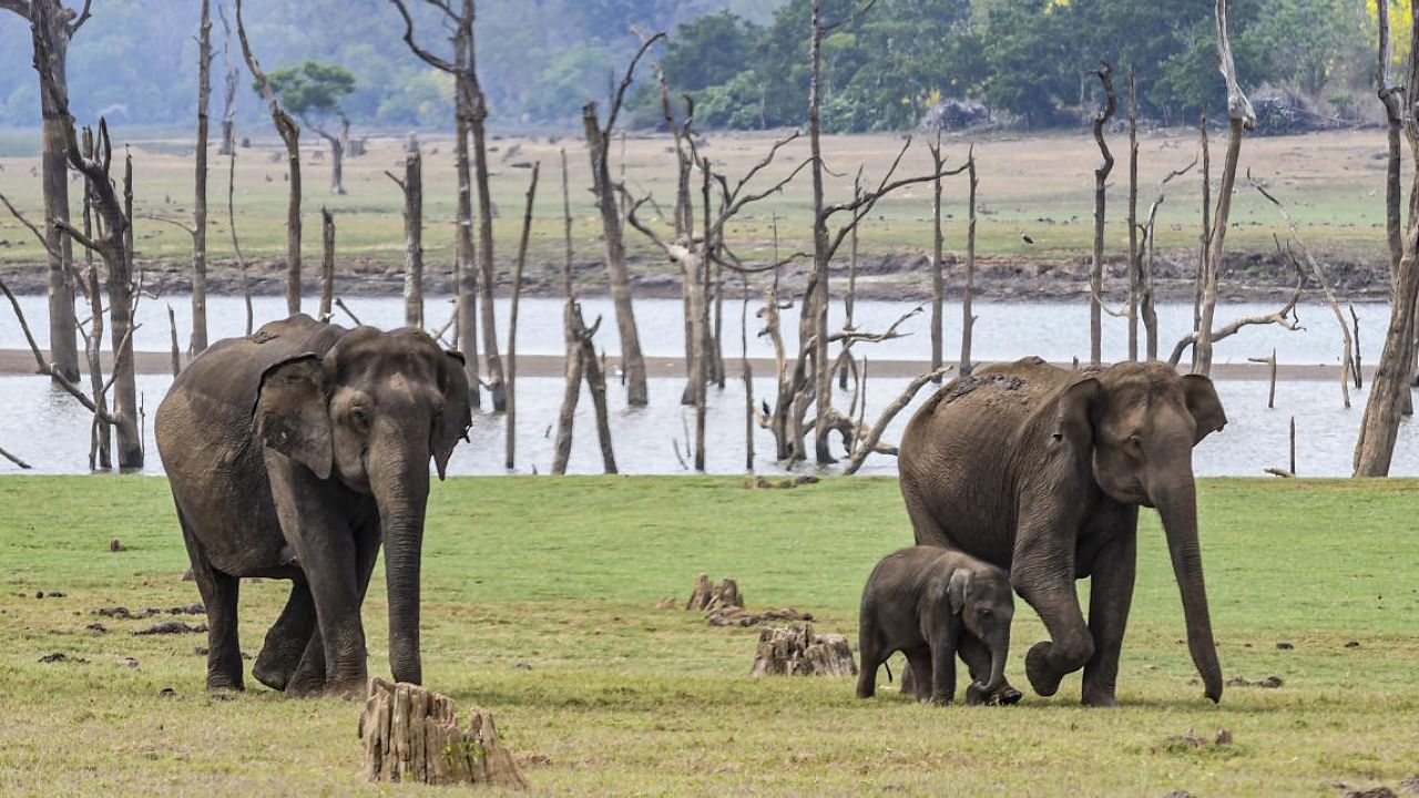 Representative image. Credit: PTI File Photo