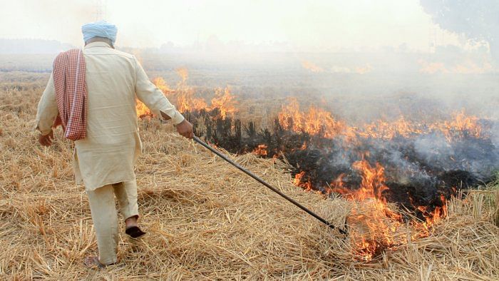 Farm fire in Punjab. Credit: PTI Photo