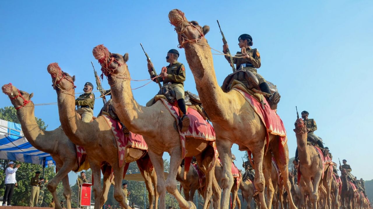 BSF Camel contingent. Credit: PTI Photo