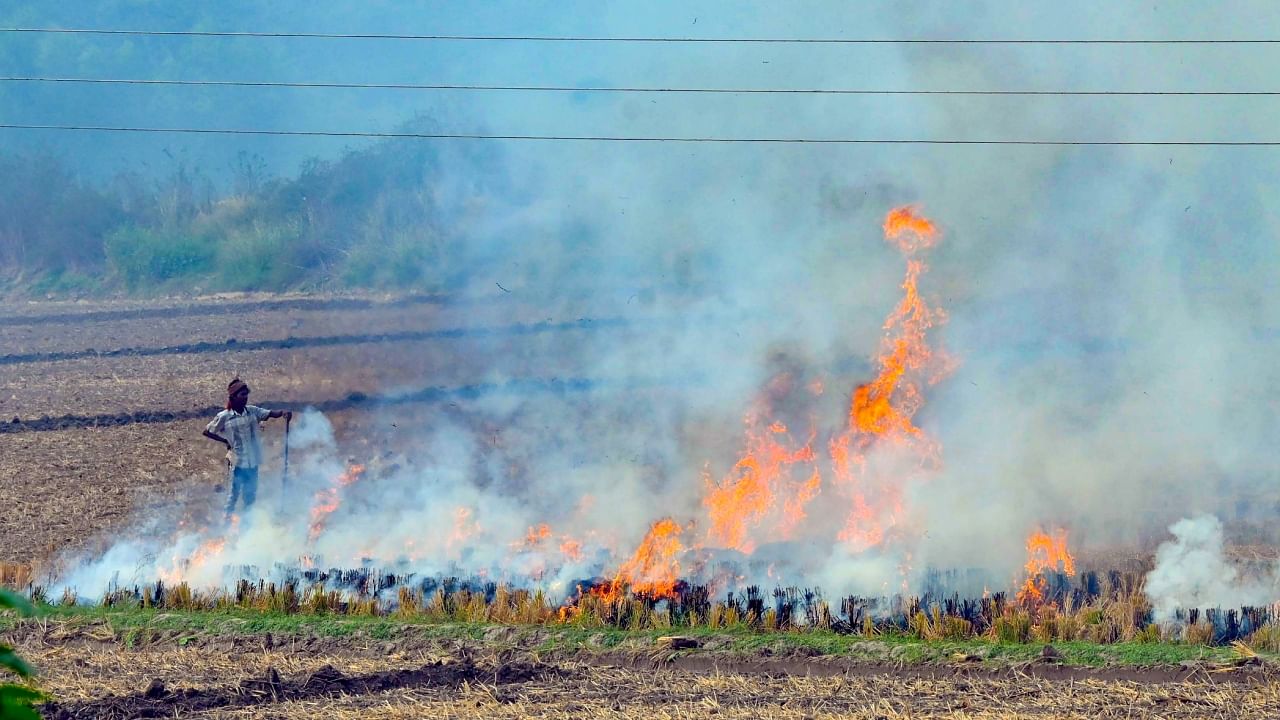 A farm labourer burns paddy stubble in a field, as pollution levels remain in the 'severe' category mark in Delhi NCR, in Patiala district, Saturday, Nov. 5, 2022. Credit: PTI Photo
