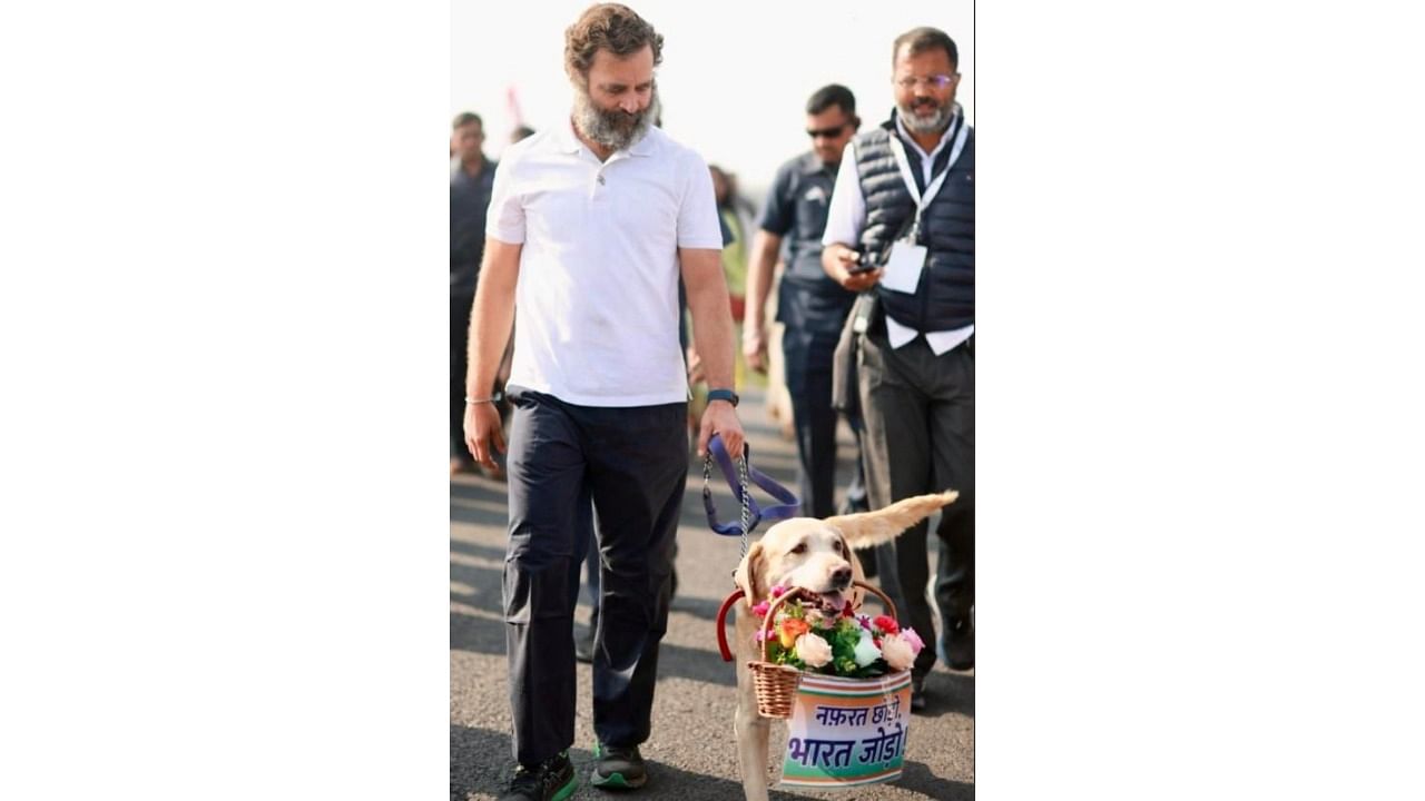 Rahul Gandhi not only took the bouquets from Lizho and Rexy, but also got himself photographed with them on the occasion