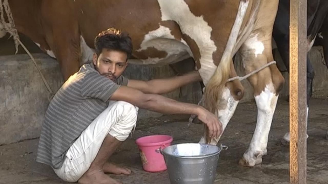 Anand's milk revolution made India the largest producer of milk. Credit: DH Photo