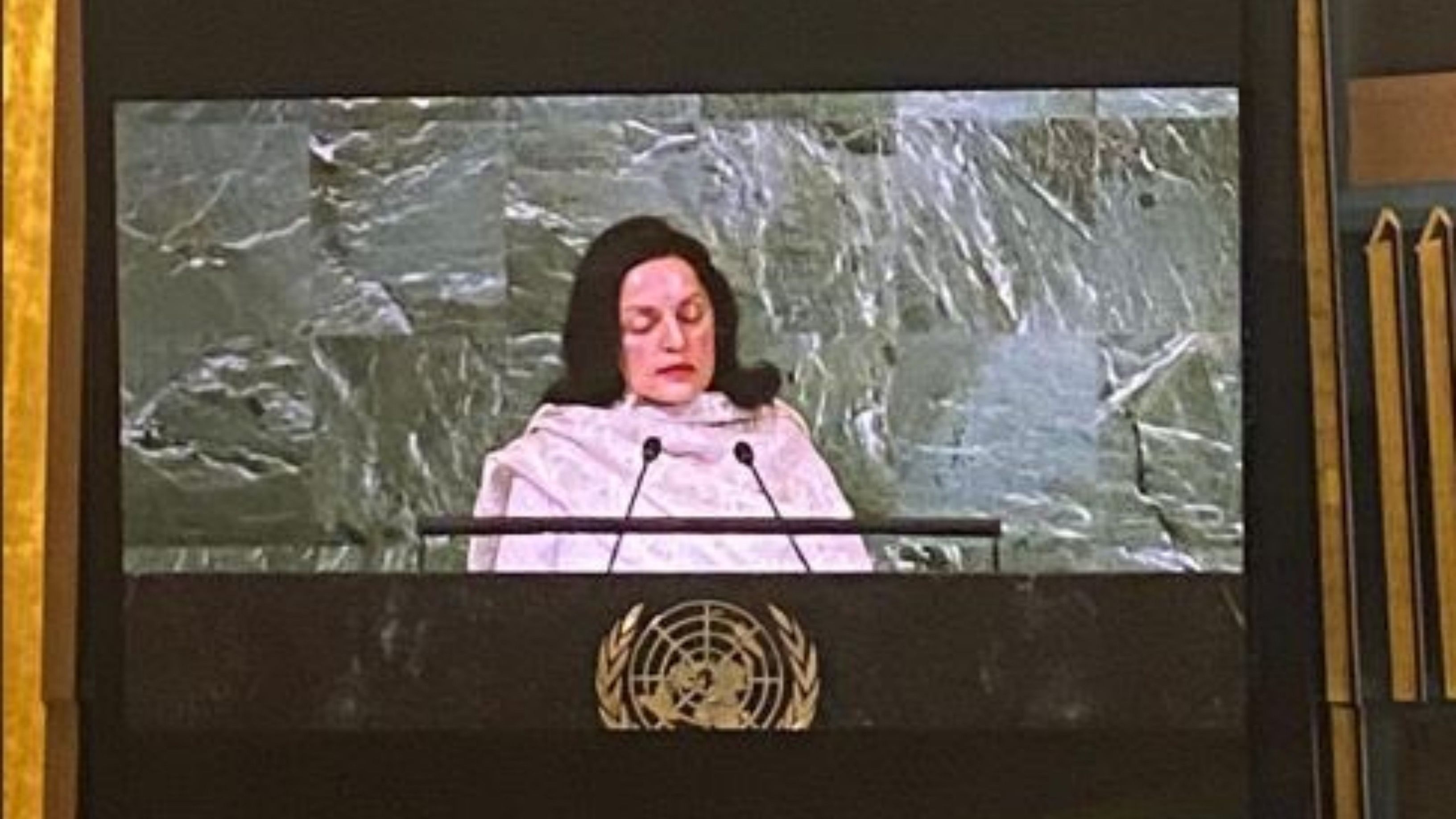 India's Permanent Representative at the UN, Ambassador Ruchira Kamboj. Credit: Twitter/@ruchirakamboj