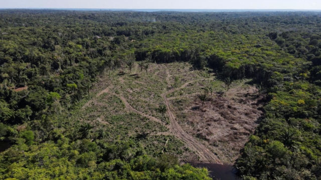An aerial view shows a deforested plot of the Amazon rainforest. Credit: Reuters Photo