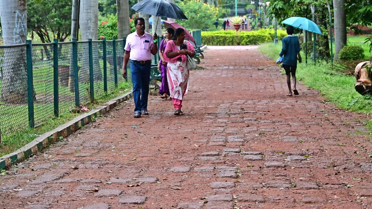 Lalbagh Botanical Garden. Credit: DH Photo