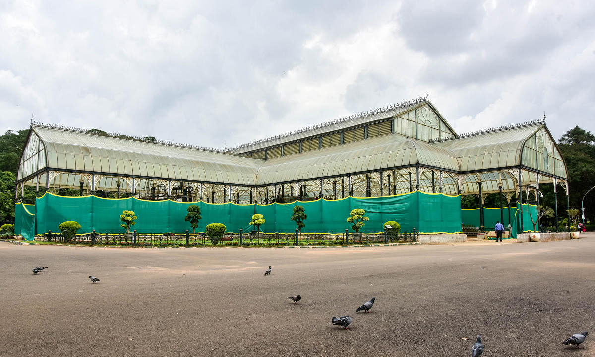 Lalbagh botanical garden. Credit: Prajavani Photo