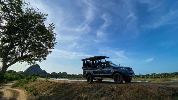 Tourists go on a jungle safari through Yala National park in Yala. Credit: AFP Photo 