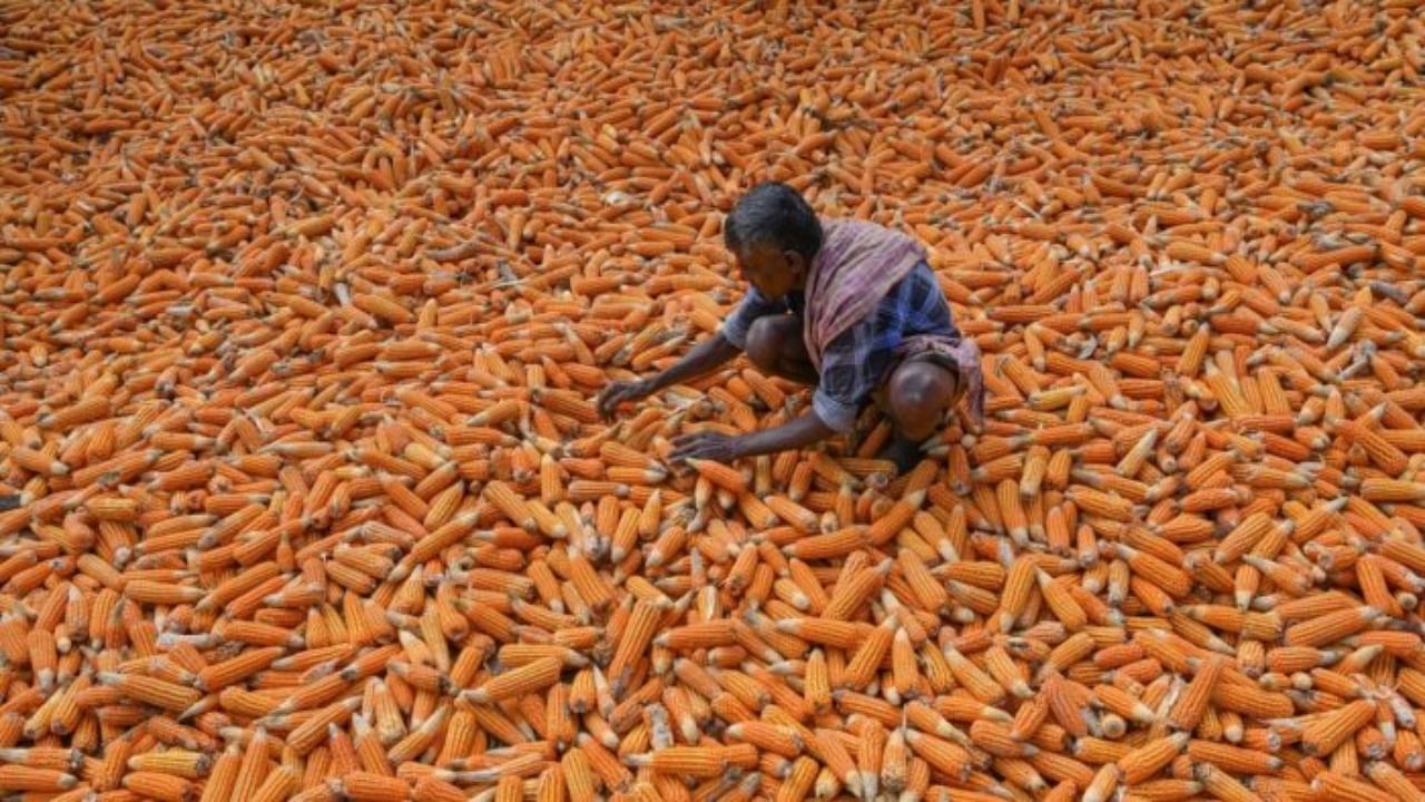 Representative Image. Credit: AFP Photo