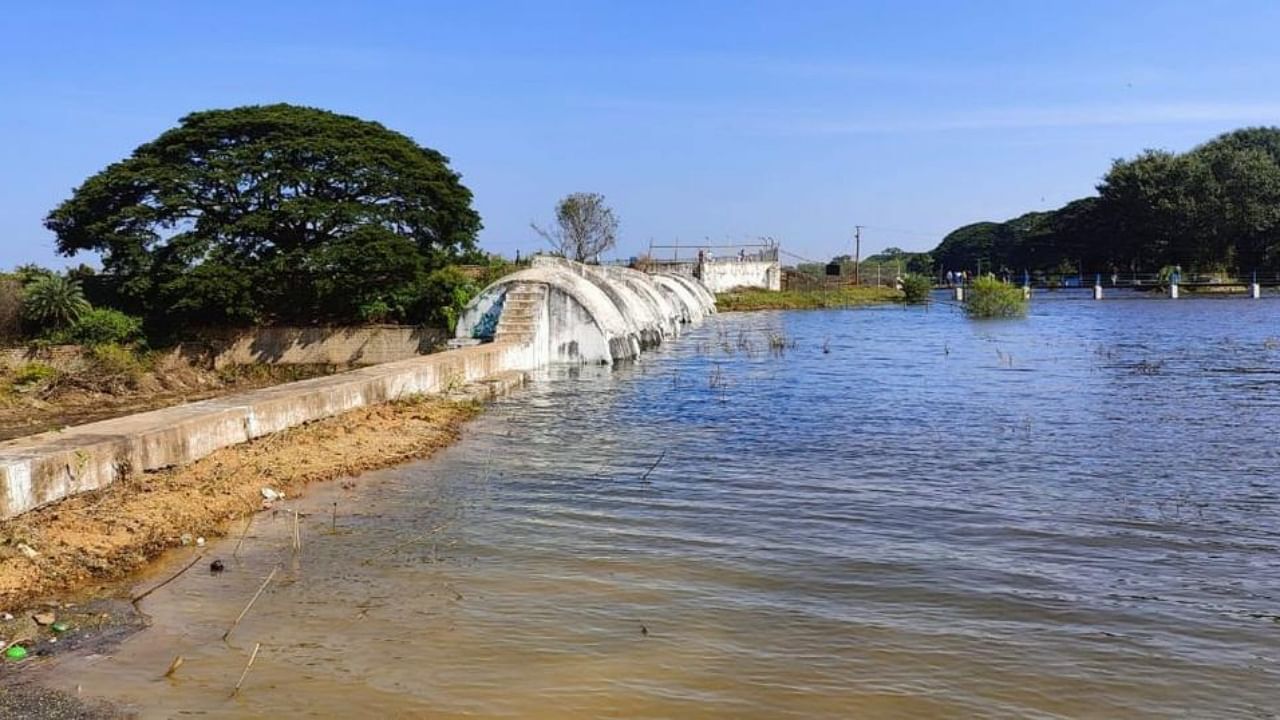 A view of the Hesaraghatta Lake. Credit: Special Arrangement