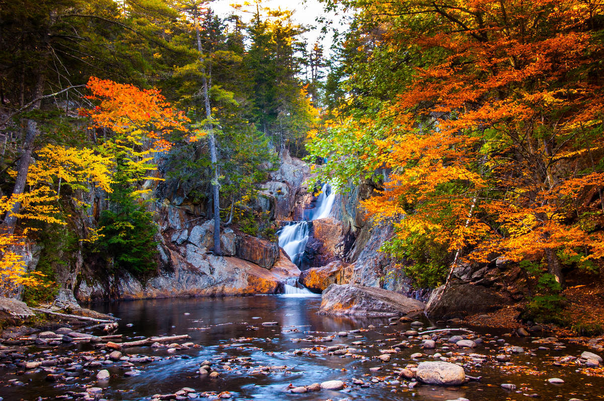 The Small Falls shot from the wooden footbridge while crossing the Sandy River. Photos by Jesal Thakker