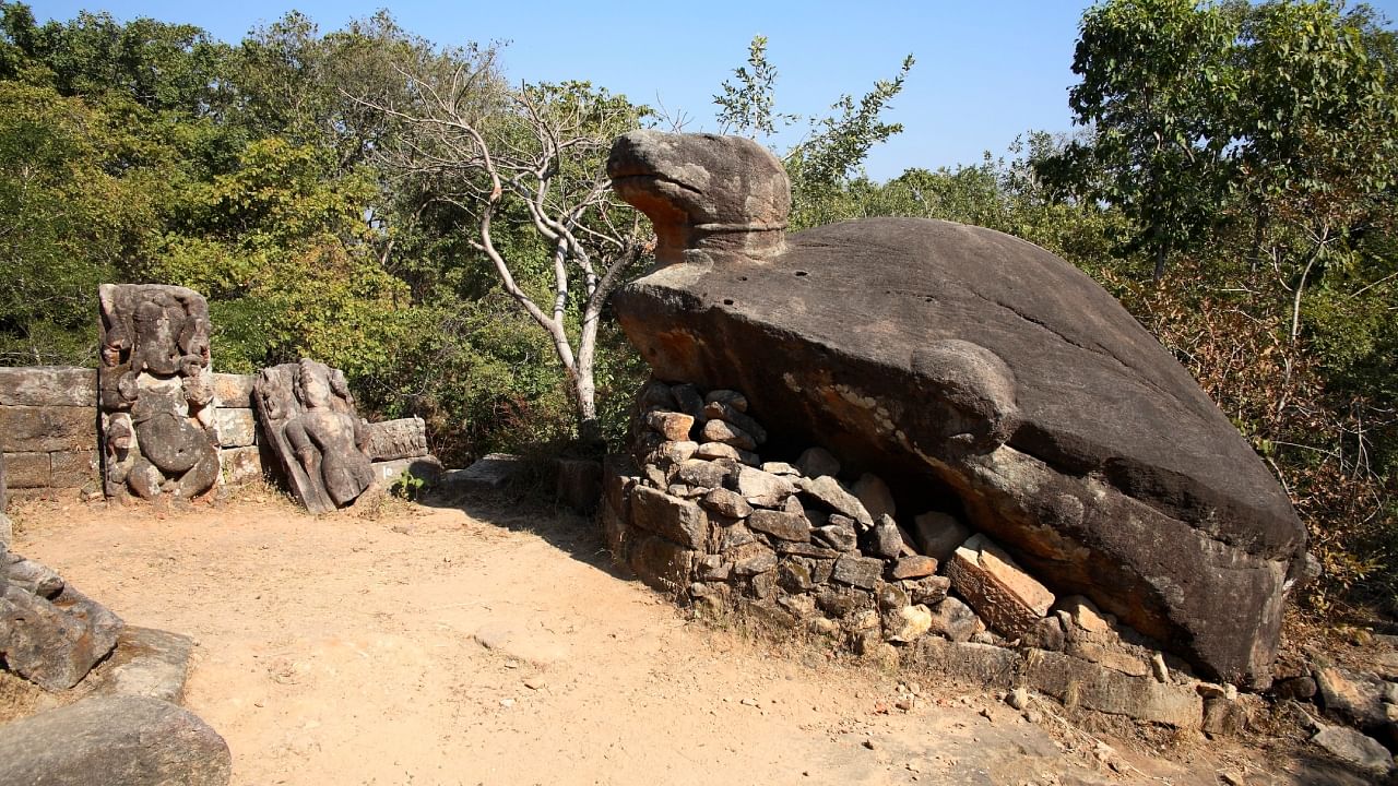 The Turtle Encarnation of Lord Vishnu, Carved on in Stone at Fort Bandhavgarh, Madya Pradesh. Credit: iStock Photo