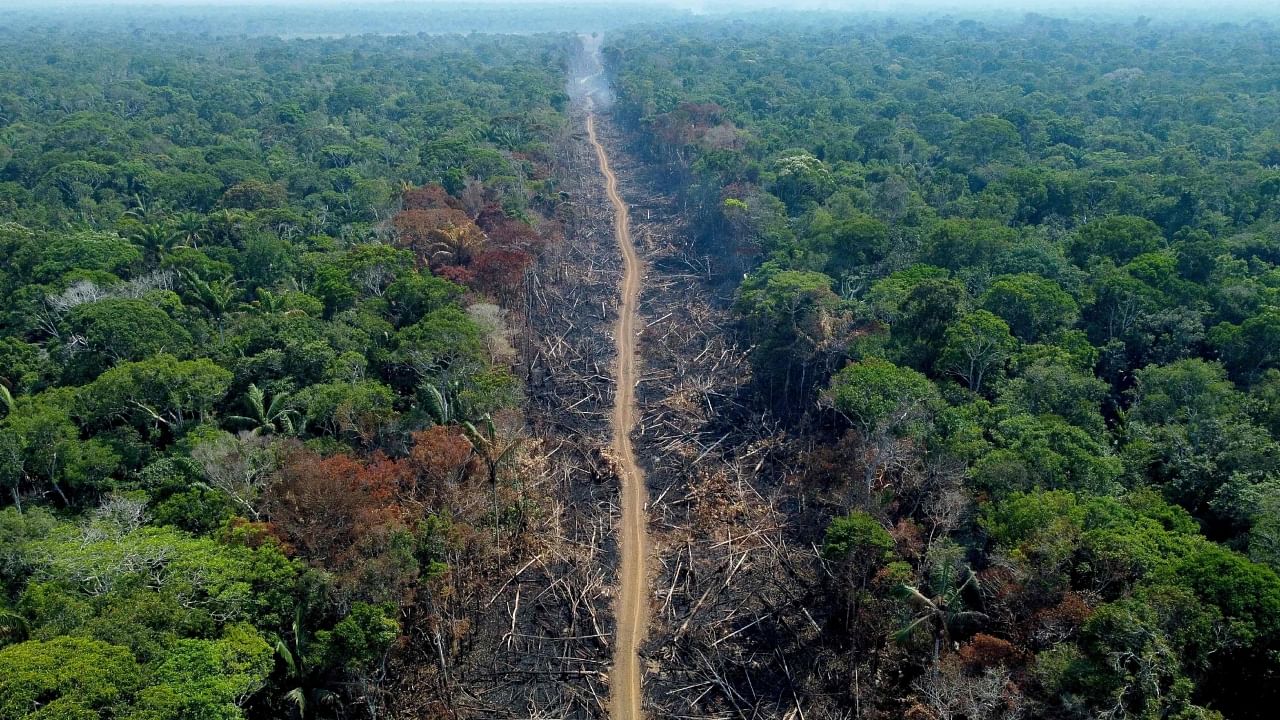 A deforested and burnt area is seen on a stretch of the BR-230 (Transamazonian highway) in Humaitá, Amazonas State, Brazil, on September 16, 2022. Credit: AFP File Photo