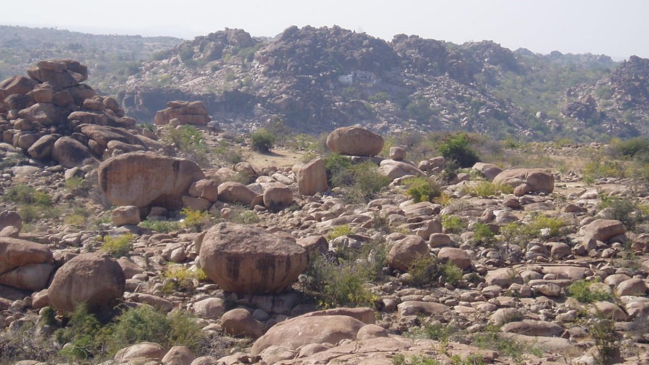 A view of the scattered boulders on the hill, some of which must have been used to create the alignment