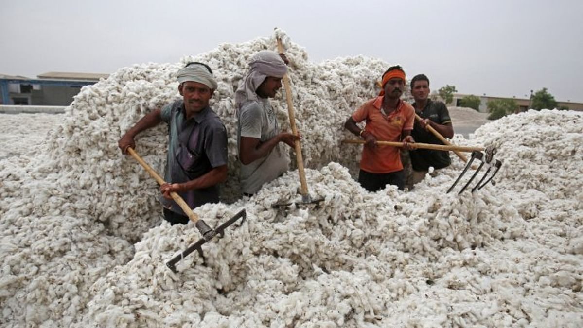 Diversifying Africa's cotton production can provide a boost