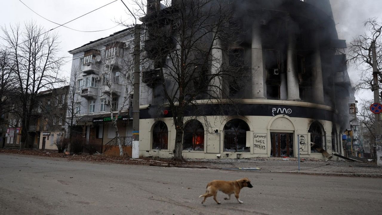 A dog walks past a building burned from a strike, as Russia's attack on Ukraine continues, during intense shelling in Bakhmut, Ukraine. Credit: Reuters Photo