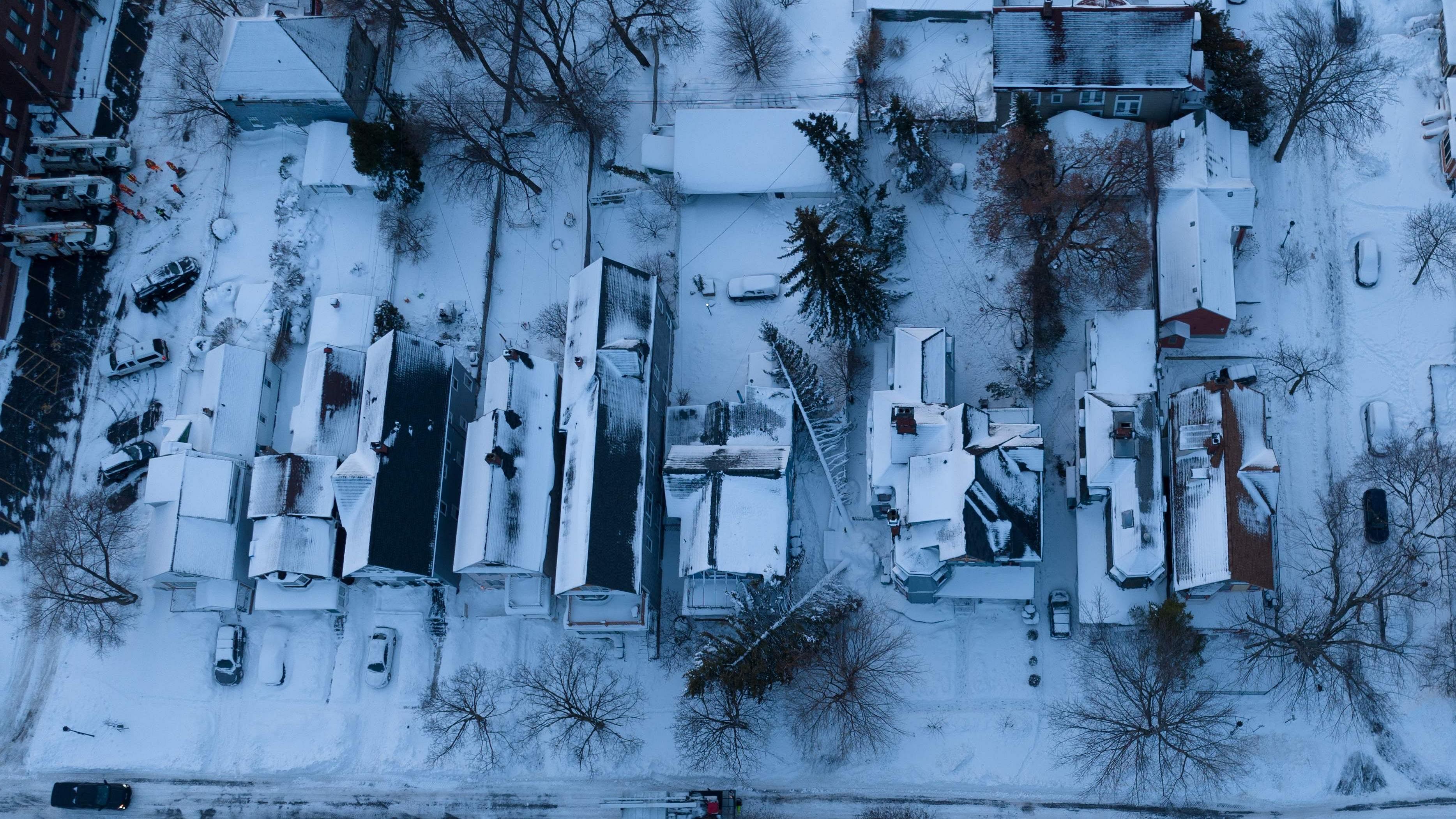  In this aerial photo, fallen trees (C) on the photographer's home after the blizzard in Buffalo, New York. Credit: AFP Photo