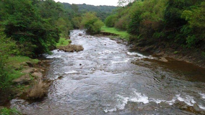 The Mahadayi river. Credit: DH File Photo