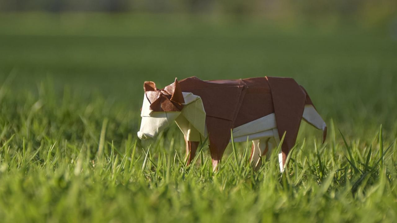 Origami models from her latest online challenge showcase animals in their real habitats. Credit: Special Arrangement