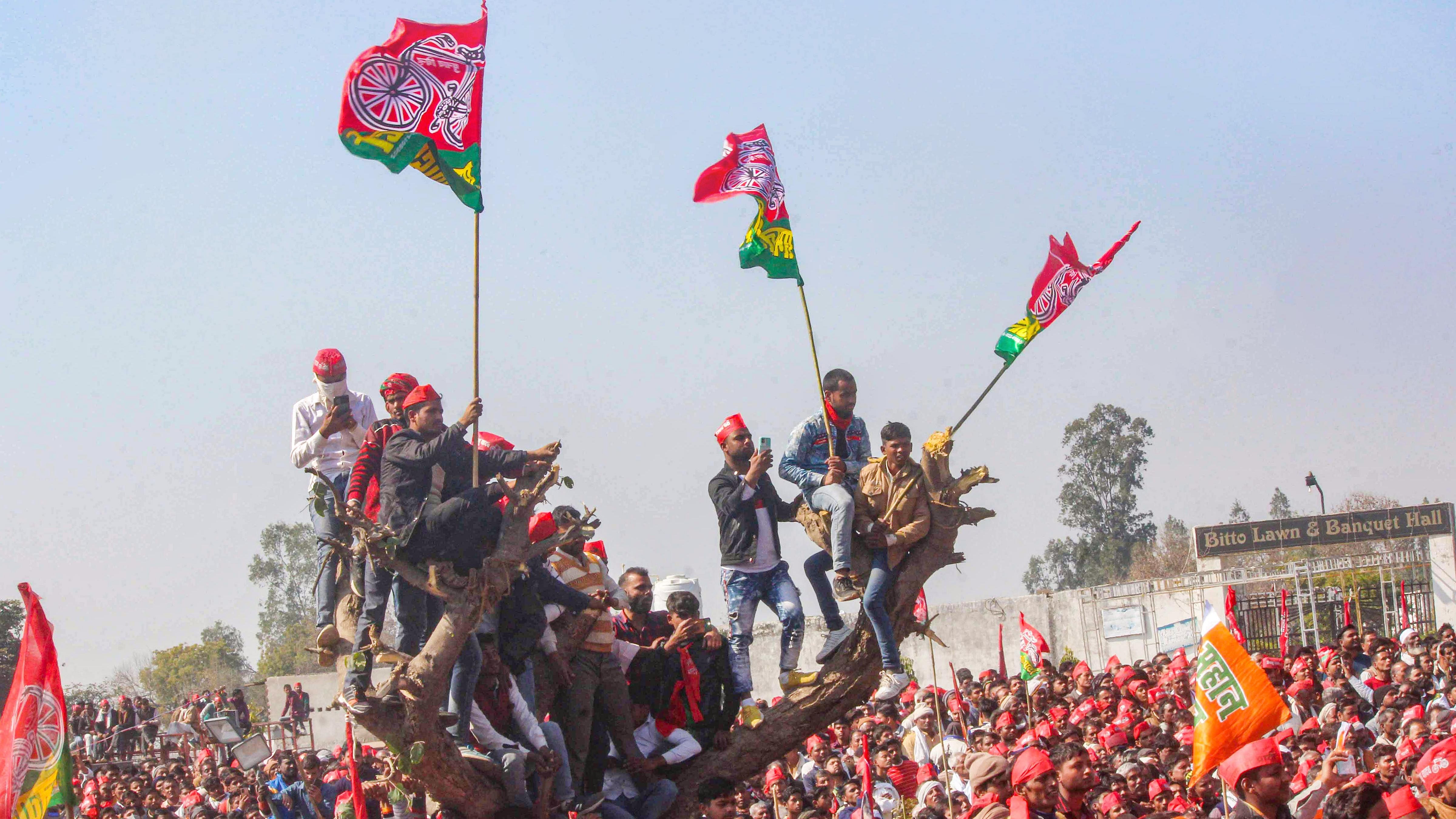  SP is also planning on bringing the focus on issues concerning the law and order, health, farmers and the youths to corner the BJP government in the state. Credit: PTI Photo