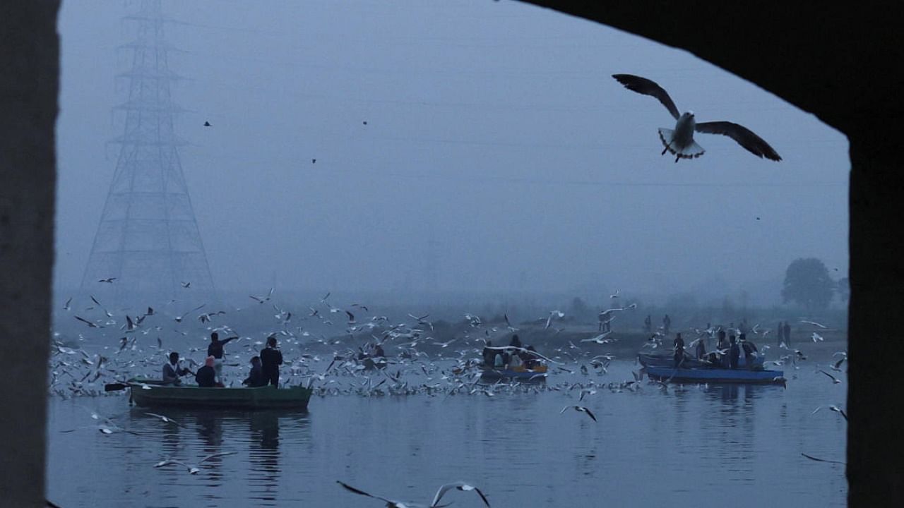 Men ride boats as seagulls fly over the waters of the river Yamuna in delhi. Credit: PTI Photo