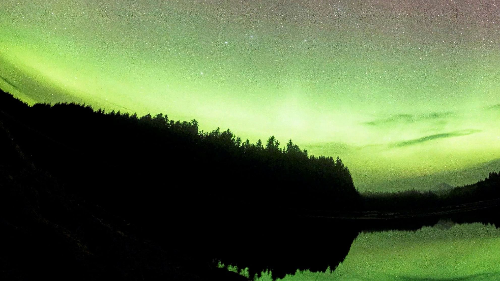 An aurora borealis is seen in Glacier Bay, Alaska, in this still image from a late night time-lapse video recorded on October 31, 2021. Credit:  Reuters Photo