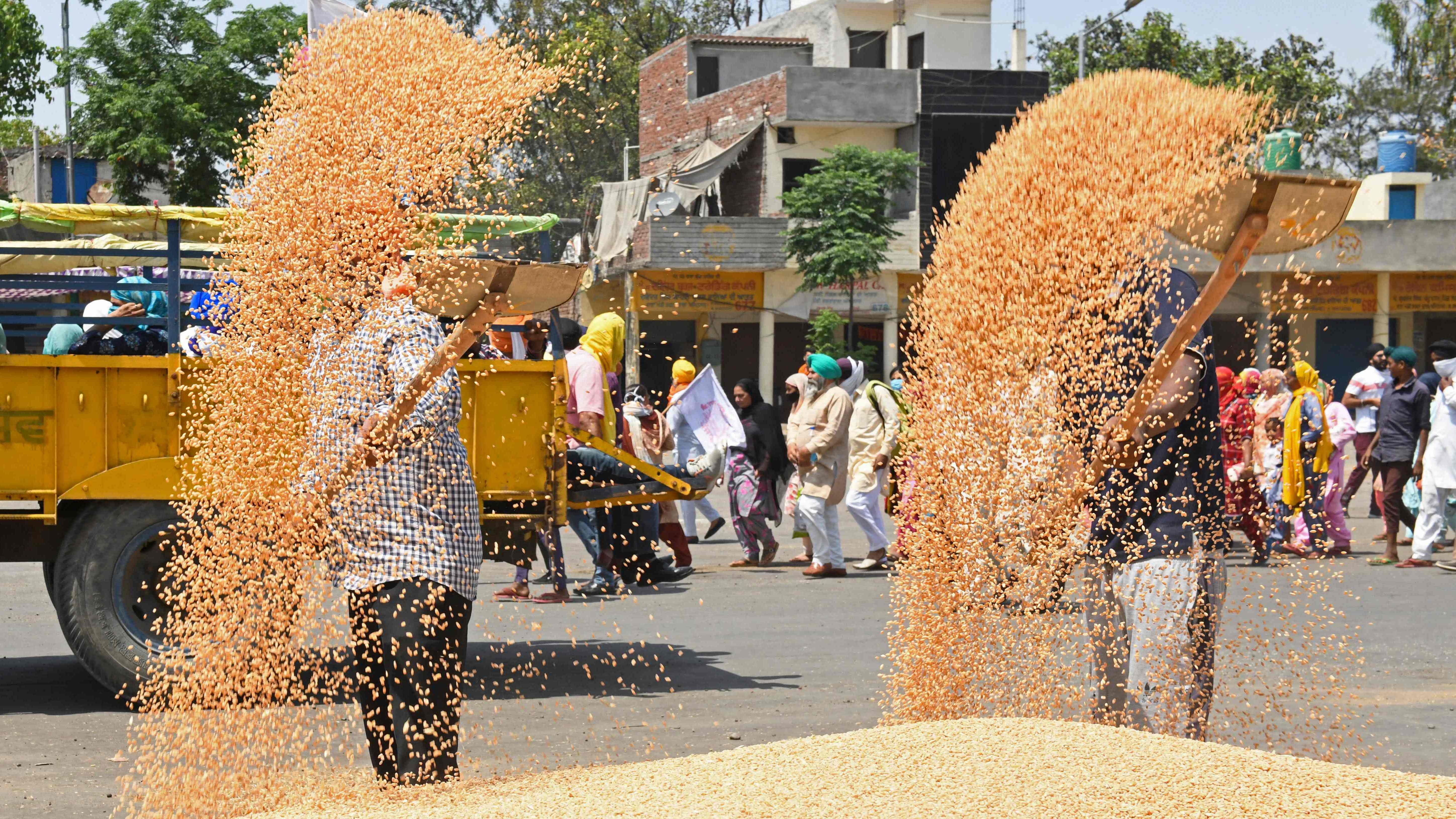 It has taken a cue from the the International Monetary Fund (IMF) Working Paper which indicated that Pradhan Mantri Garib Kalyan Yojana (PMGKAY).  Credit: AFP File Photo