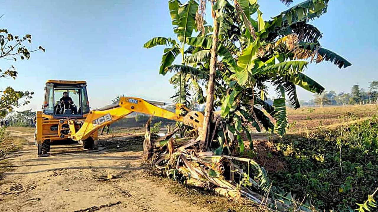 Banana trees being knocked down during an eviction drive to clear 450 hectares of forest land from 'illegal settlers' in Lakhimpur district, Tuesday, Jan. 10, 2023. Credit: PTI Photo