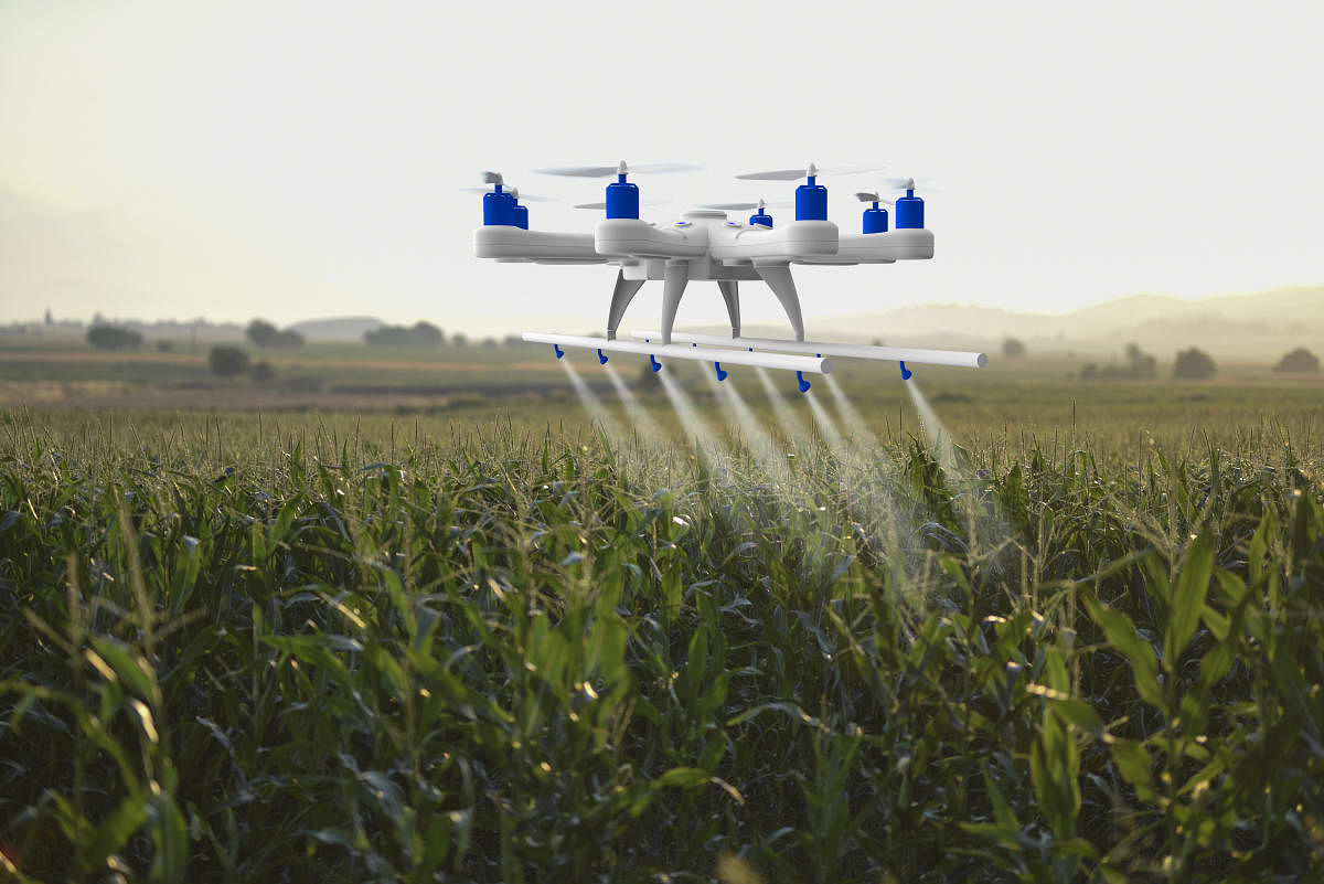 As drones are highly customisable, they can be used in spraying nutrients and pesticides for both field and horticulture crops. Credit: Getty Photo