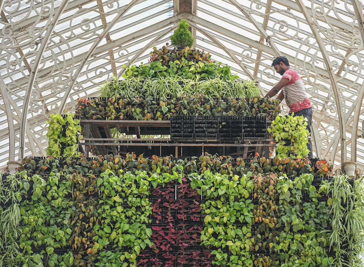 Preparations on for the Republic Day flower show at Lalbagh in Bengaluru on Monday. Credit: DH Photos/S K Dinesh