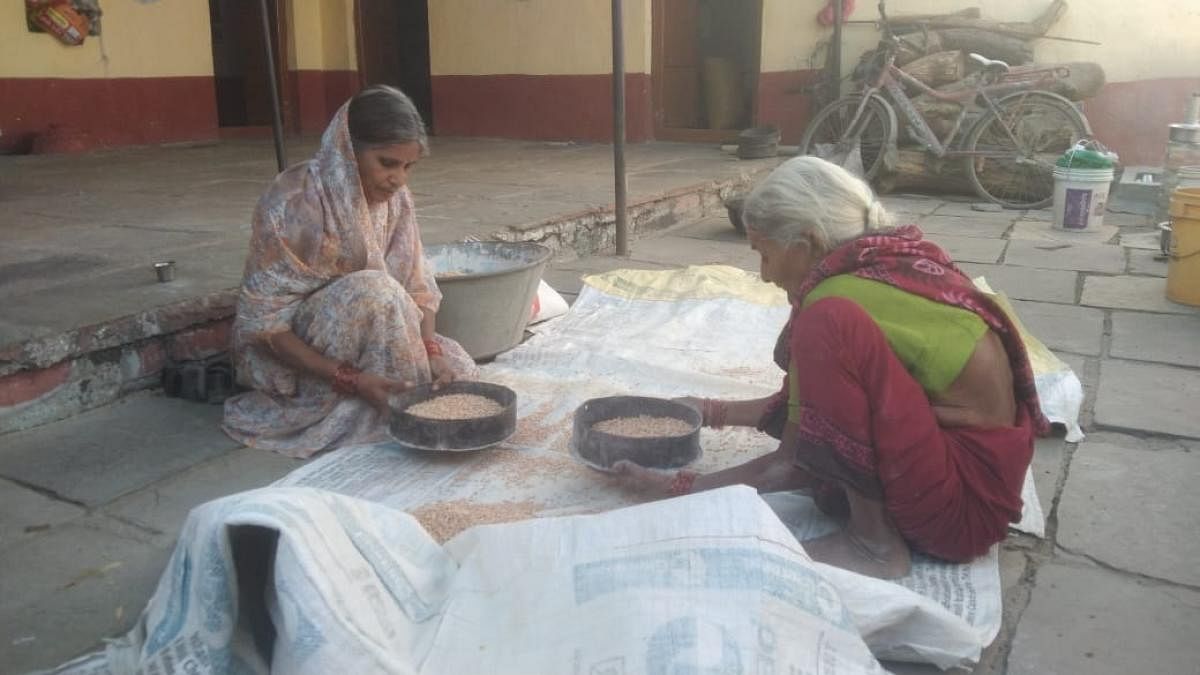 Agrarian distress has compounded in the area as compensation for crop loss often does not reach tenant farmers. Credit: DH Photo