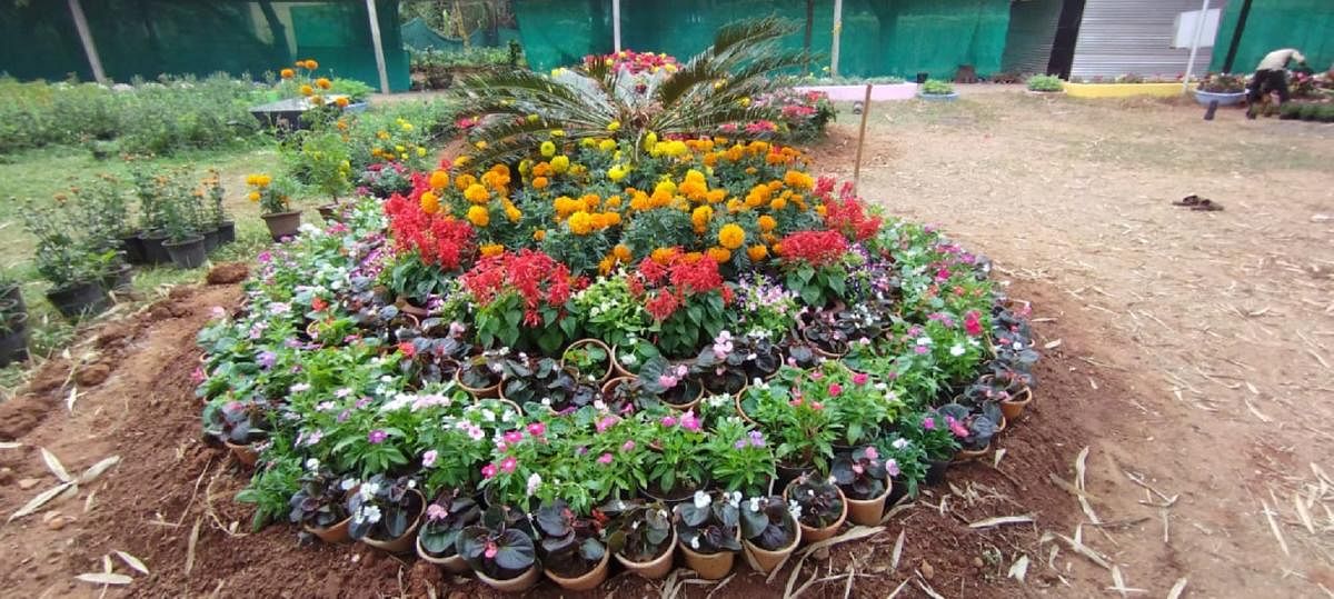 Flowers arranged for the four-day flower and fruit show at Kadri Park in Mangaluru. Credit: DH Photo