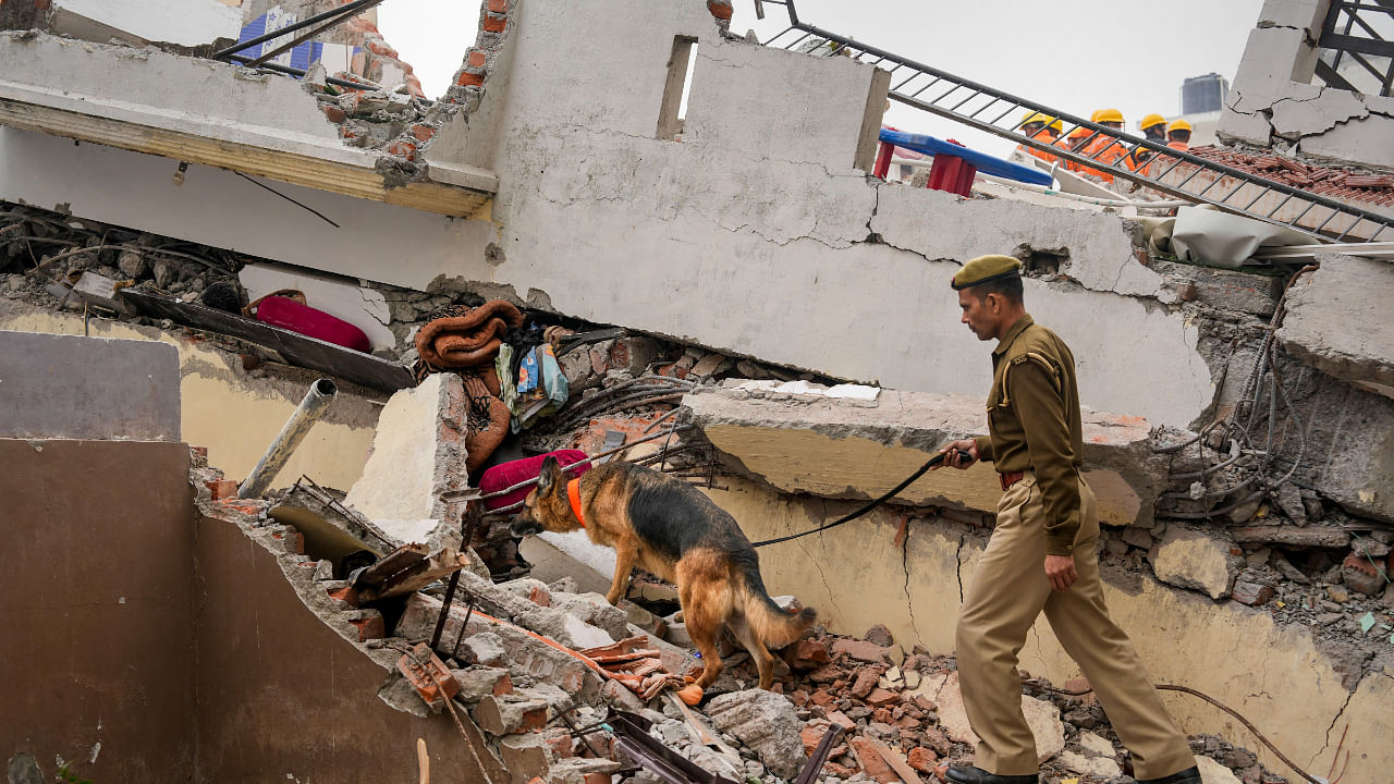 A police personnel with a dog during the search and rescue operation a day after the collapse of a four-storey residential building in the Hazratganj area, in Lucknow. Credit: PTI Photo