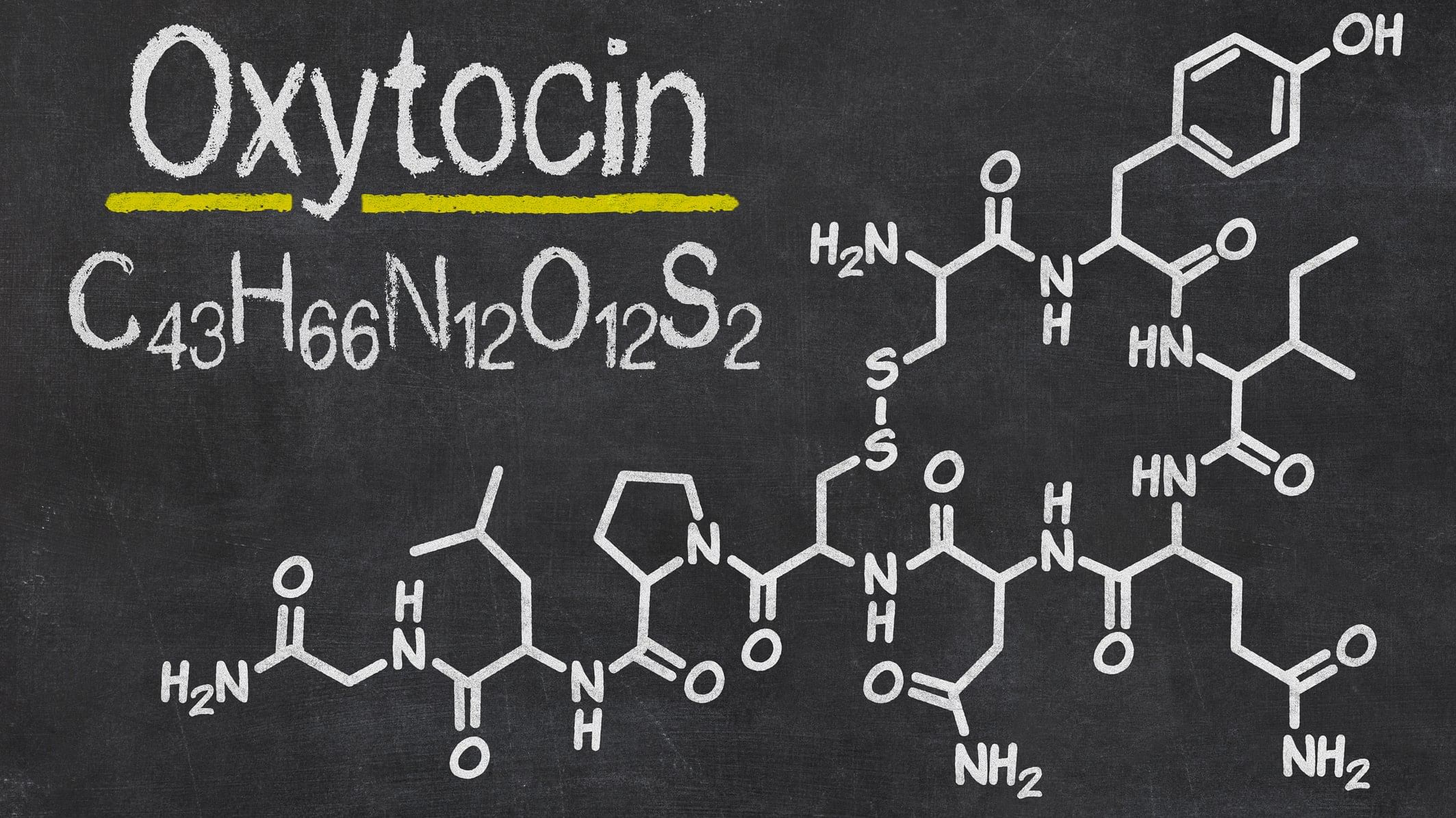 The results indicate that the biology underlying pair bonding and parenting isn't purely dictated by the receptors for oxytocin. Credit: iStock Photo