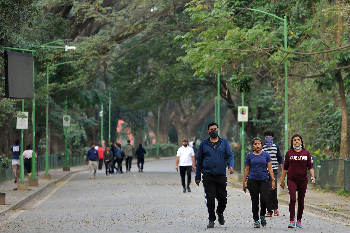 Walkers who frequent Cubbon Park say the plan to set up stalls violates heritage guidelines.