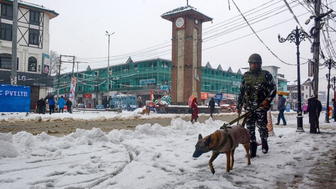  Security personnel with a sniffer dog on a snow-covered road near Lal Chowk in Srinagar. Credit: PTI Photo