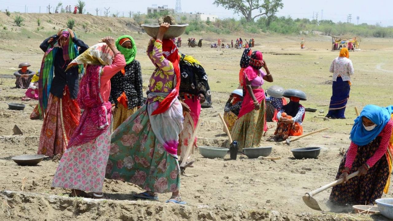 Labourers under MNREGA)work at a site in Bewar, Rajasthan. Credit: PTI File Photo