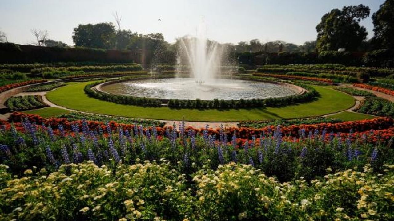 A view of Amrit Udyan, formerly known as Mughal Gardens. Credit: PTI Photo