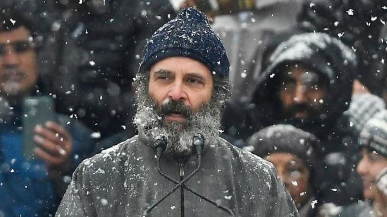 Congress leader Rahul Gandhi in Srinagar. Credit: AFP Photo