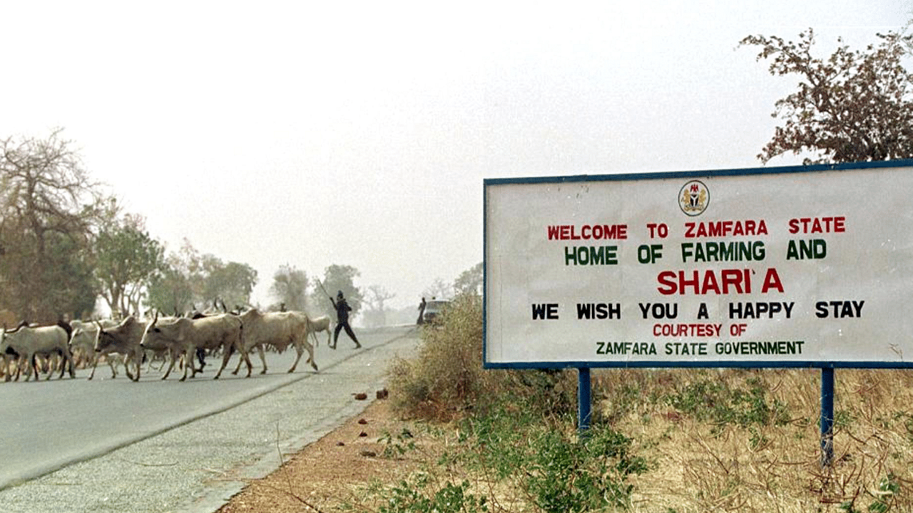 A file picture taken and released on May 8, 2018 shows a man herding his cattle in Zamfara. Credit: AFP Photo