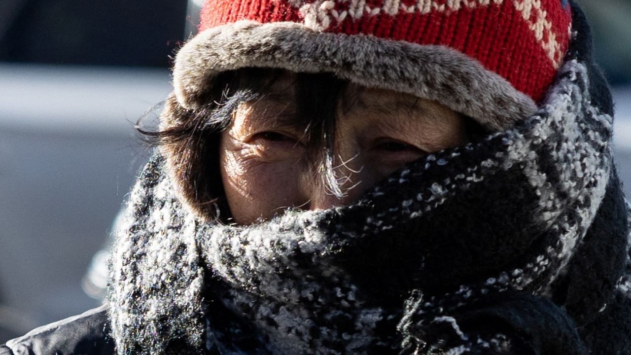 A woman walks in bitterly cold temperatures and high winds in Brooklyn as deep cold spread across the northeast United States. Credit: Reuters Photo